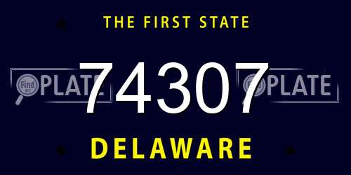 74307 Delaware License Plate