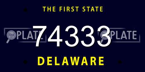 74333 Delaware License Plate