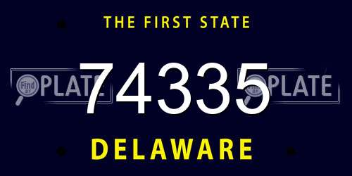 74335 Delaware License Plate
