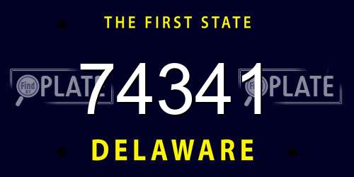 74341 Delaware License Plate