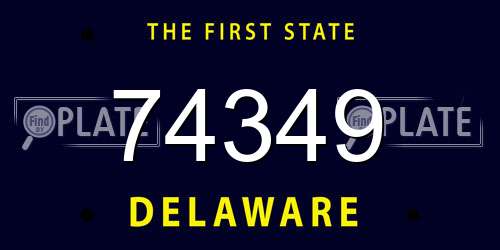 74349 Delaware License Plate