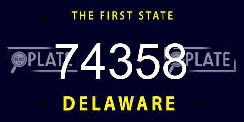 74358 Delaware License Plate
