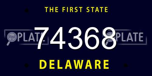 74368 Delaware License Plate