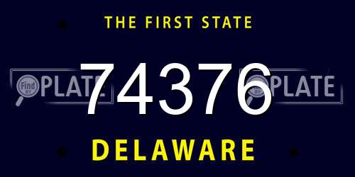 74376 Delaware License Plate