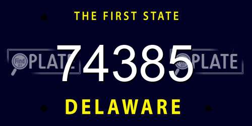 74385 Delaware License Plate