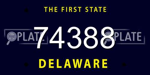 74388 Delaware License Plate