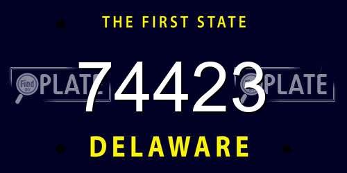 74423 Delaware License Plate