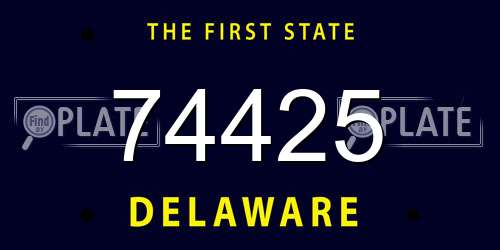 74425 Delaware License Plate