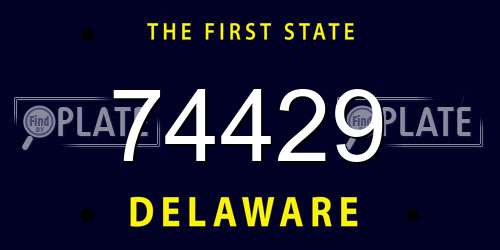 74429 Delaware License Plate