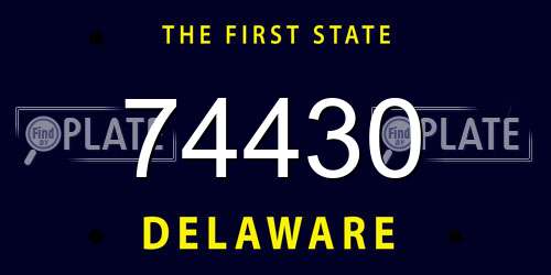 74430 Delaware License Plate