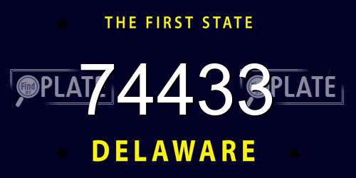 74433 Delaware License Plate