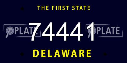 74441 Delaware License Plate