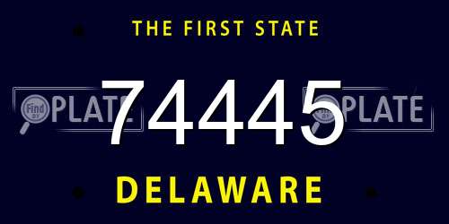 74445 Delaware License Plate