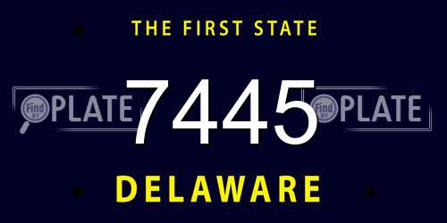 7445 Delaware License Plate