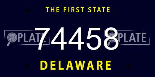 74458 Delaware License Plate