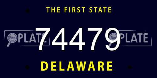 74479 Delaware License Plate