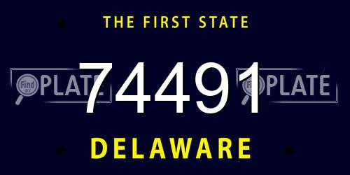 74491 Delaware License Plate