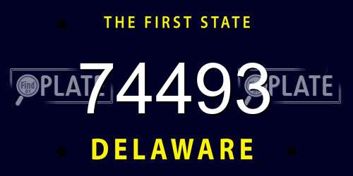 74493 Delaware License Plate