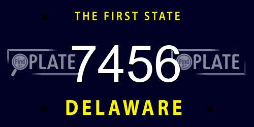 7456 Delaware License Plate