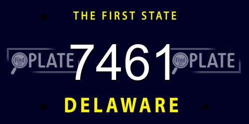 7461 Delaware License Plate