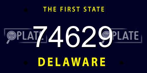 74629 Delaware License Plate