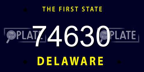 74630 Delaware License Plate