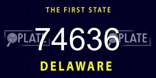74636 Delaware License Plate