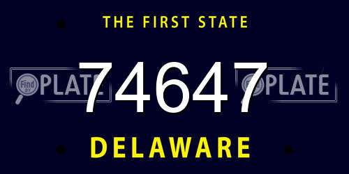 74647 Delaware License Plate