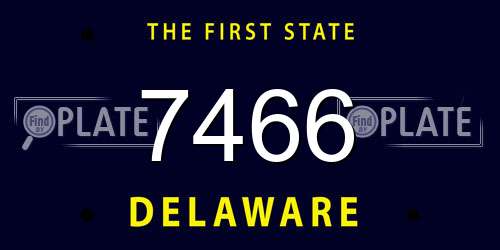 7466 Delaware License Plate