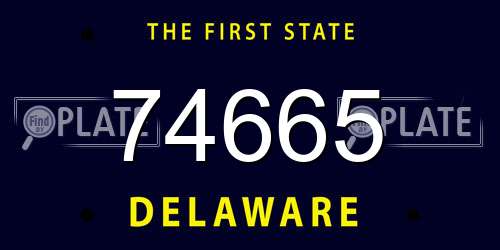 74665 Delaware License Plate