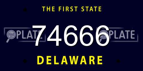 74666 Delaware License Plate