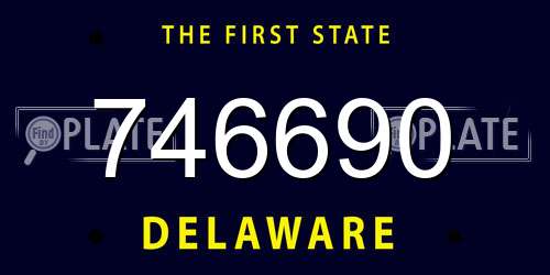 746690 Delaware License Plate