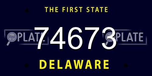 74673 Delaware License Plate