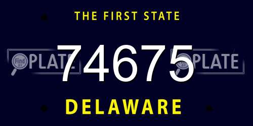 74675 Delaware License Plate