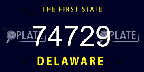 74729 Delaware License Plate