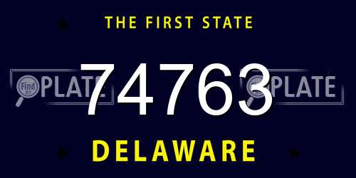 74763 Delaware License Plate