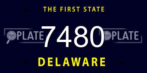 7480 Delaware License Plate