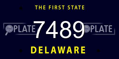 7489 Delaware License Plate