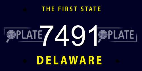 7491 Delaware License Plate