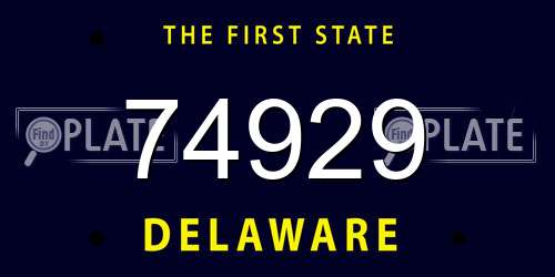 74929 Delaware License Plate