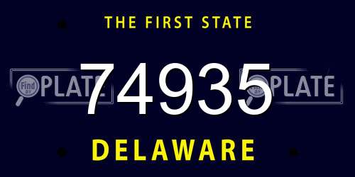 74935 Delaware License Plate