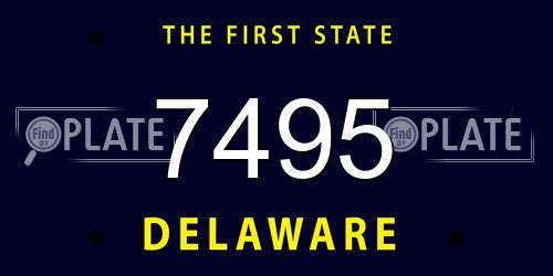 7495 Delaware License Plate