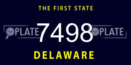 7498 Delaware License Plate