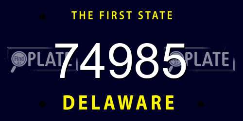74985 Delaware License Plate
