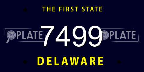 7499 Delaware License Plate
