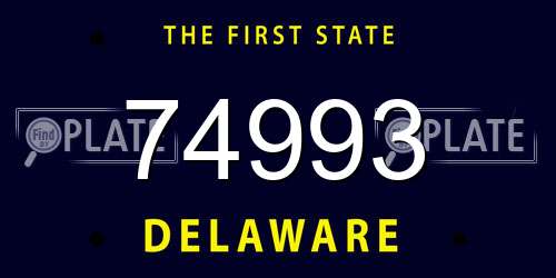 74993 Delaware License Plate