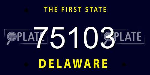 75103 Delaware License Plate