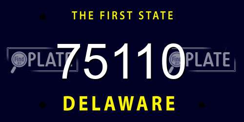 75110 Delaware License Plate