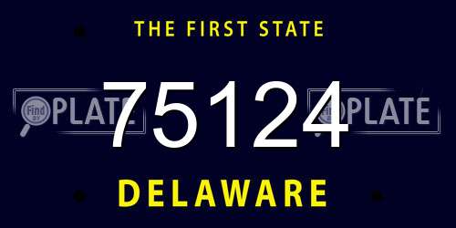 75124 Delaware License Plate