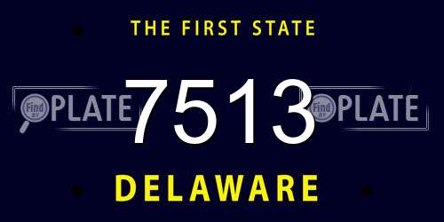 7513 Delaware License Plate